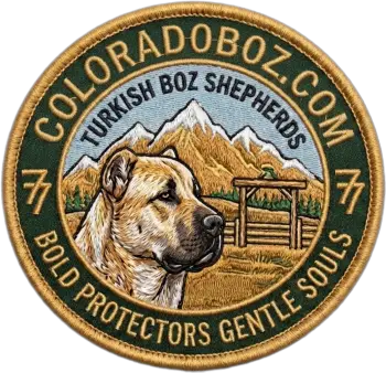 Colorado Boz